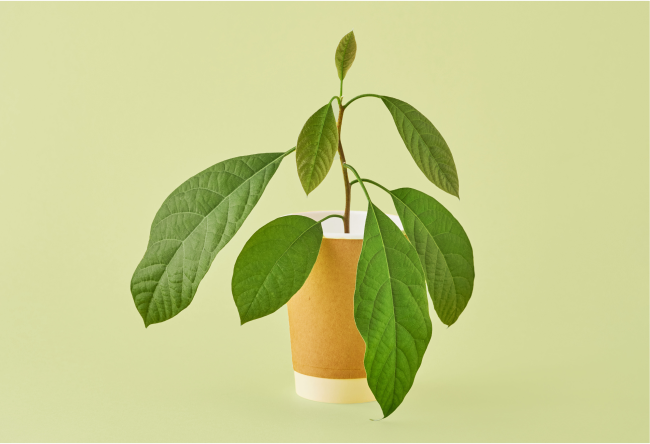 Biodegradable packaging in nature